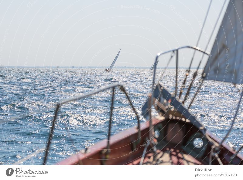 Ausschau halten Segeln Jacht Bewegung fahren frei Unendlichkeit maritim blau Stimmung Vertrauen ruhig erleben Freiheit Freizeit & Hobby Freude Leidenschaft