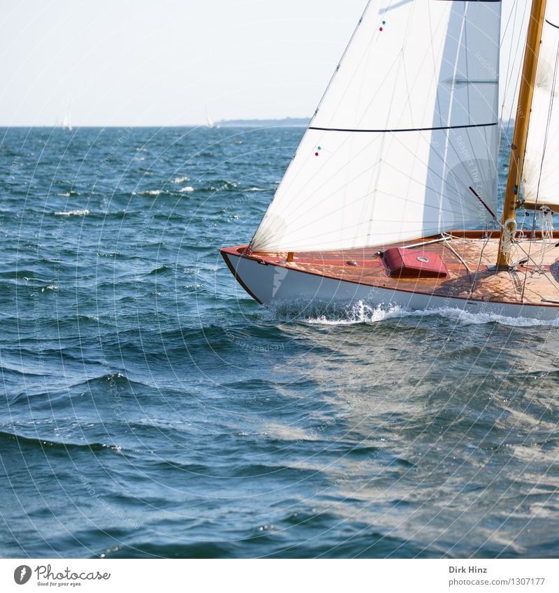 Segeln auf der Ostsee Lifestyle Erholung ruhig Ferien & Urlaub & Reisen Tourismus Ausflug Ferne Freiheit Sommer Sommerurlaub Sonne Jacht maritim blau braun