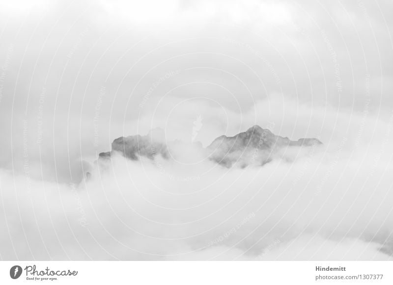 In Wolken Umwelt Natur Landschaft Urelemente Erde Luft Wasser Himmel Sommer Klima schlechtes Wetter Nebel Felsen Alpen Berge u. Gebirge Dolomiten