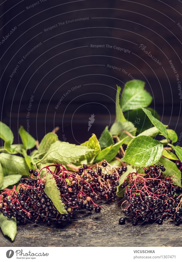 Holunder Bündel mit grünen Blättern und Beeren Lebensmittel Frucht Süßwaren Ernährung Stil Design Alternativmedizin Gesunde Ernährung Garten Tisch Pflanze