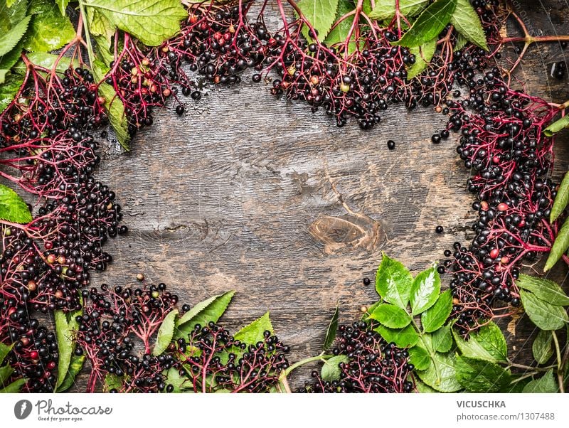 Holz Hintergrund mit Holunderbeeren Lebensmittel Frucht Dessert Marmelade Ernährung Bioprodukte Vegetarische Ernährung Diät Stil Design Gesunde Ernährung Garten