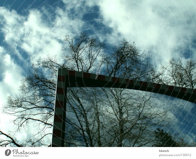 Illusion Spiegel Spiegelbild Rückspiegel Wolken Baum Himmel Straßennamenschild Zerrspiegel Reflexion & Spiegelung