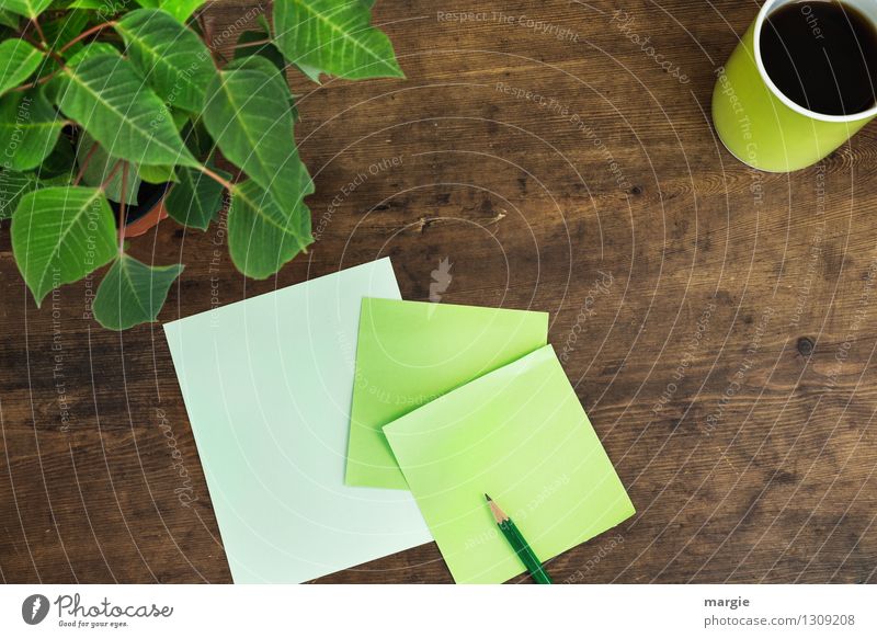 Grüne Zettel mit Stift, einer Tasse Kaffee und einer Topfpflanze Heißgetränk Schreibtisch Arbeit & Erwerbstätigkeit Büroarbeit Arbeitsplatz Pflanze Blume Blatt