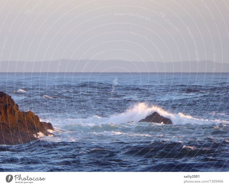 im Hintergrund Nordirland... Natur Wellen Küste Meer Atlantik Schottland Bewegung Erholung fantastisch gigantisch Unendlichkeit maritim natürlich Abenteuer