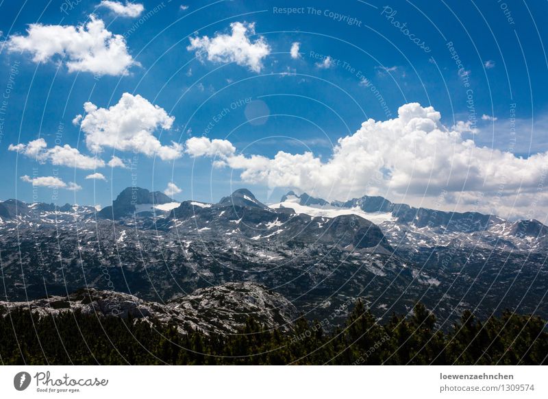 Eiskalte Sonne Ferien & Urlaub & Reisen Ausflug Abenteuer Sommer Schnee Berge u. Gebirge Klettern Bergsteigen Umwelt Natur Landschaft Wolken Schönes Wetter