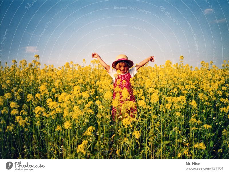 Freiheitsstatue Mädchen Kind Kleinkind blond Strohhut Kindergartenkind Raps gelb Rapsfeld Kleid Sommer Sonne Sommerkleid Trägerkleid Muster ausgestreckt Wolken