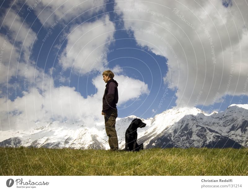mann mit hund sucht.... Feld Hügel Gras Hund Labrador Wiese Wolken Frühlingstag Spaziergang grün schwarz weiß Mann Alm ignorieren Aussicht Tier Berge u. Gebirge