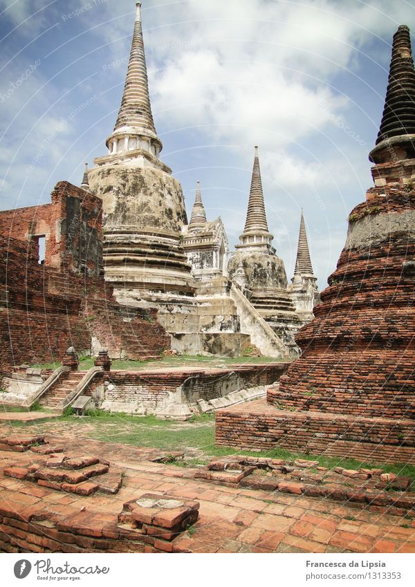 Wat Phra Si Sanphet Abenteuer Ferne Sightseeing Expedition Sommer Sonne Architektur Garten Ayutthaya Thailand Südostasien Altstadt Menschenleer Ruine Tempel