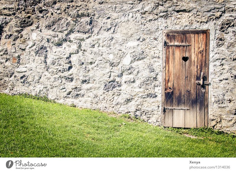Holztür Stilles Örtchen Wand Stein braun grau grün Gras Steinmauer Toilette rustikal Außenaufnahme Menschenleer Tag Farbfoto Tür Mauer alt Fassade