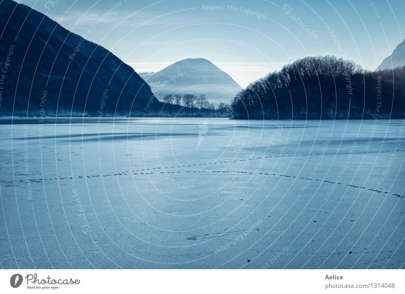 Atmosphärische Ansicht von bereiftem See in Nord-Italien Ferien & Urlaub & Reisen Winter Schnee Natur Landschaft Klima Wetter Schönes Wetter Nebel blau