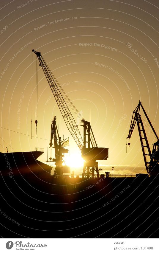 Hamburger Hafen Kran Sonnenaufgang Sonnenuntergang verladen löschen schwarz Gegenlicht Arbeit & Erwerbstätigkeit Industrie Kontrast