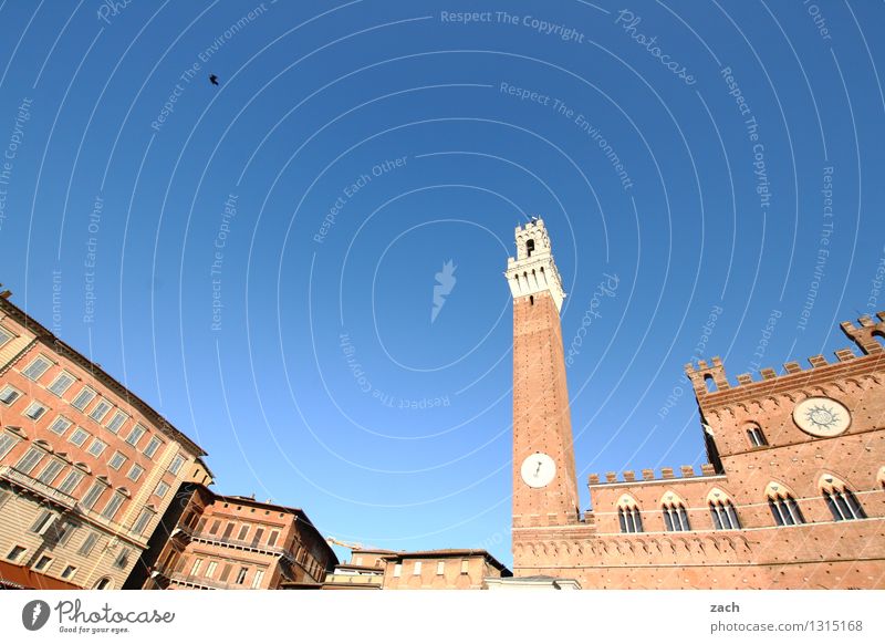 auf die Größe kommt es an Ferien & Urlaub & Reisen Städtereise Siena Italien Toskana Stadt Stadtzentrum Altstadt Menschenleer Haus Traumhaus Kirche Dom Palast