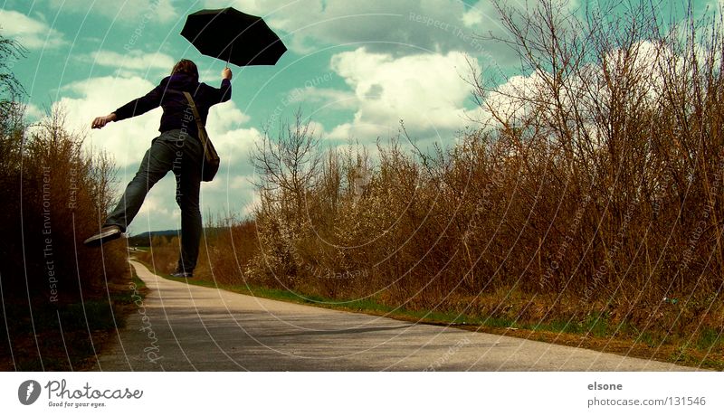 ::HARRY POPPINS:: fliegen Ferne träumen Sturm Regenschirm Sonnenschirm schwarz Fantasygeschichte Phantasie verloren Wege & Pfade Straße Sträucher Himmel Wolken