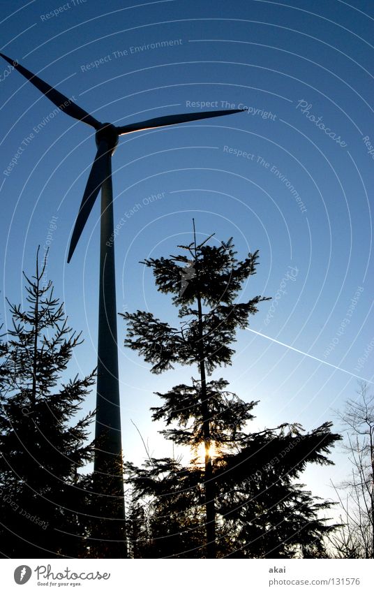 Natural Power Himmel Nadelbaum Wald himmelblau Geometrie Laubbaum Perspektive Nadelwald Waldwiese Paradies Waldlichtung Windkraftanlage Elektrizität schön