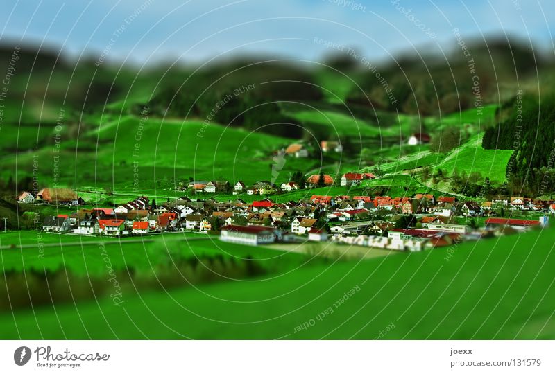 Kleinigkeit Baum Dorf grün Haus Hügel klein Miniatur Spielen Spielzeug Wald Wiese Makroaufnahme Nahaufnahme Freizeit & Hobby H0 hügelig Landschaft Muster