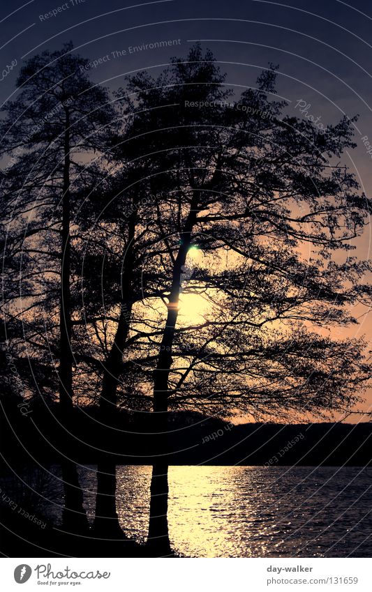 150 - Abends am See Sonnenuntergang Abendsonne Baum Wolken Hügel Wald Wellen Reflexion & Spiegelung Wasserspiegelung Licht rot gelb Himmel Abenddämmerung Natur