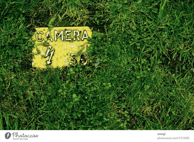 camera grünura Blitze Gras Fragen zusammenhängend Fotografie Fotografieren Freizeit & Hobby Kunst Vogelperspektive gelb frisch Fototechnik Buchstaben Wort