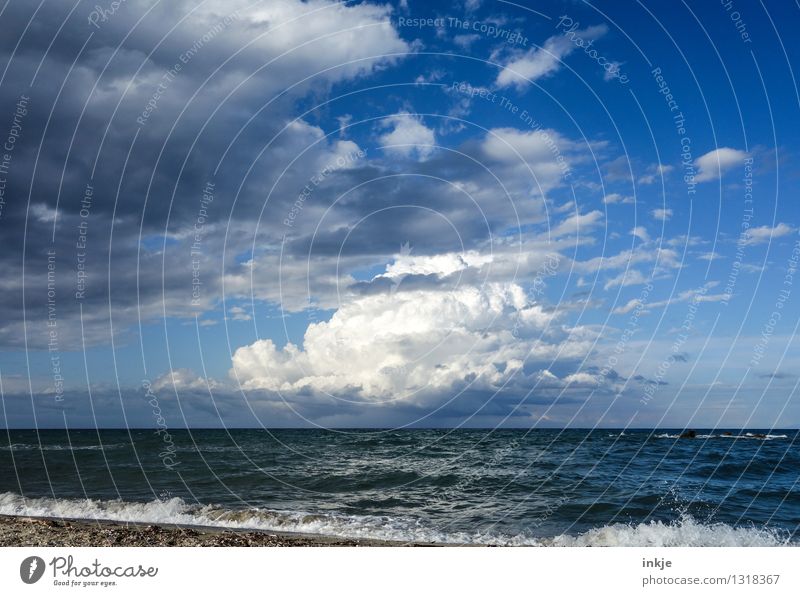 Korsische Wolke Umwelt Natur Landschaft Urelemente Luft Wasser Himmel Wolken Gewitterwolken Horizont Klima Klimawandel Wetter Unwetter Küste Meer Blauer Himmel