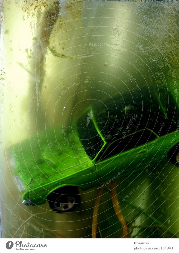 Unter Wasser Oldtimer Cabrio Verdeck Dach grün Fenster Motorhaube Mangrove Algen tauchen verfallen Trauer Verzweiflung Vergänglichkeit PKW Zentrifuge Pflanze