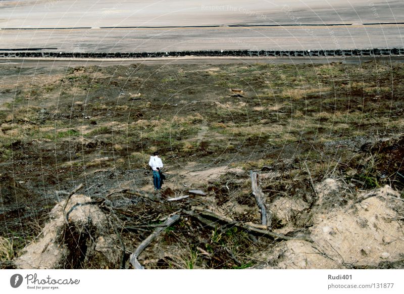 tierfreund Reh Tier Fotograf Einsamkeit springen Überraschung Säugetier Bergbau Sand Wüste lore vorbei rennen