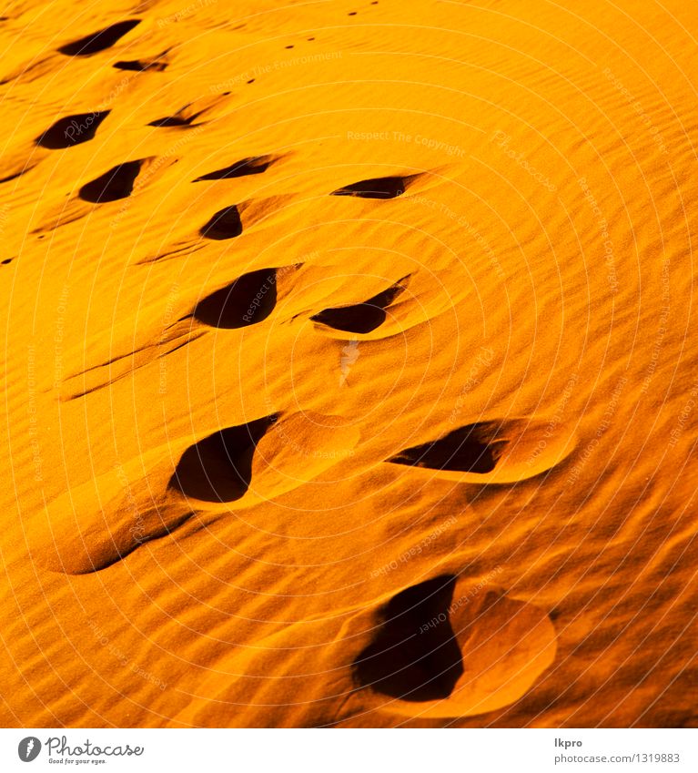 in der Sahara-Marokko-Wüste schön Ferien & Urlaub & Reisen Tapete Natur Landschaft Sand Schönes Wetter Urwald Hügel heiß braun gelb Einsamkeit Idylle wüst Düne