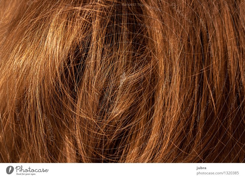 Haariges Chaos elegant Stil Design schön Haare & Frisuren feminin Kopf brünett blond langhaarig Locken Perücke "Wellen Wuschelkopf Strähnen Fein föhnen fliegen"