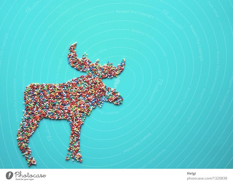Elchfigur dekoriert aus kleinen bunten Zuckerkügelchen auf türkisem Hintergrund Lebensmittel Süßwaren Streusel Zuckerstreusel Weihnachten & Advent Tier Zeichen