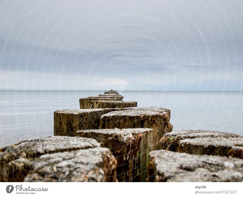 Passageway to the Baltic Sea Natur Landschaft Wasser Himmel Wetter Küste Ostsee Meer Erholung Unendlichkeit blau braun Stimmung Einsamkeit Energie stagnierend