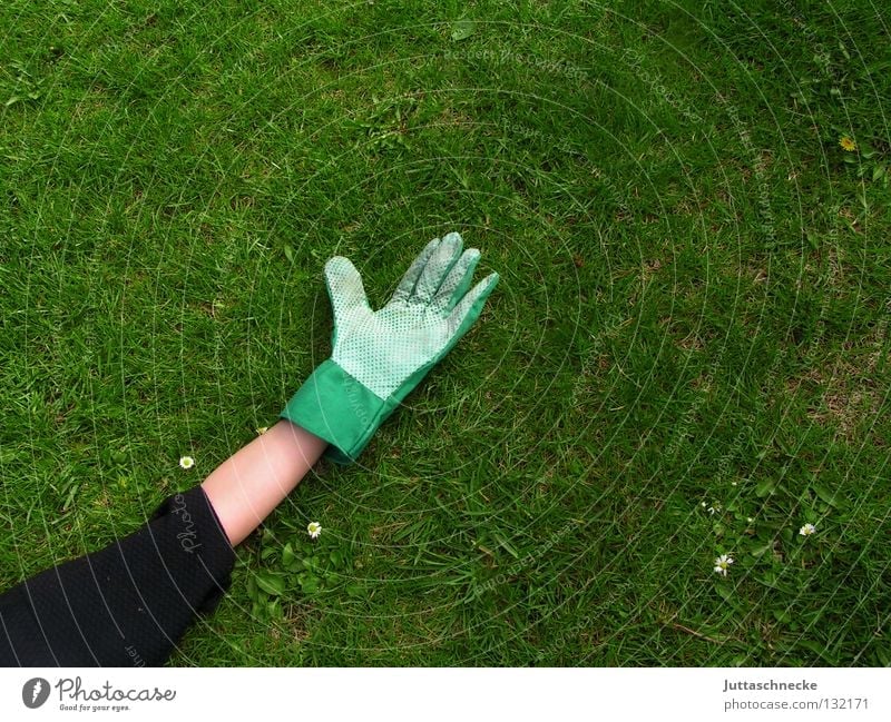 Nach der Arbeit sollst du ruh´n Hand Handschuhe Arbeitshandschuhe Wiese Gras Gärtner Freizeit & Hobby Arbeit & Erwerbstätigkeit Gartenarbeit Pause Erholung