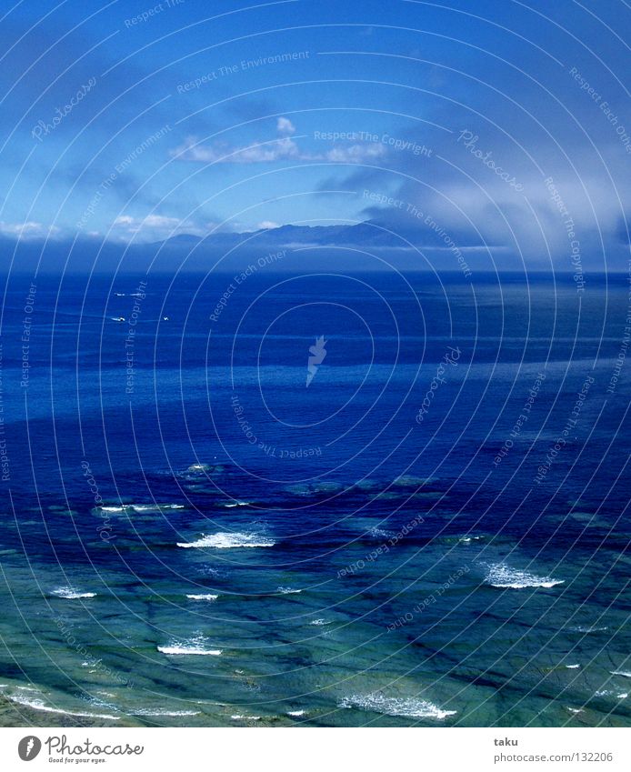OCEAN Neuseeland wandern Meer Horizont Wellen hell-blau türkis Schatten weiß Wolken Wal schön Erinnerung fantastisch unvergesslich kaikura Himmel
