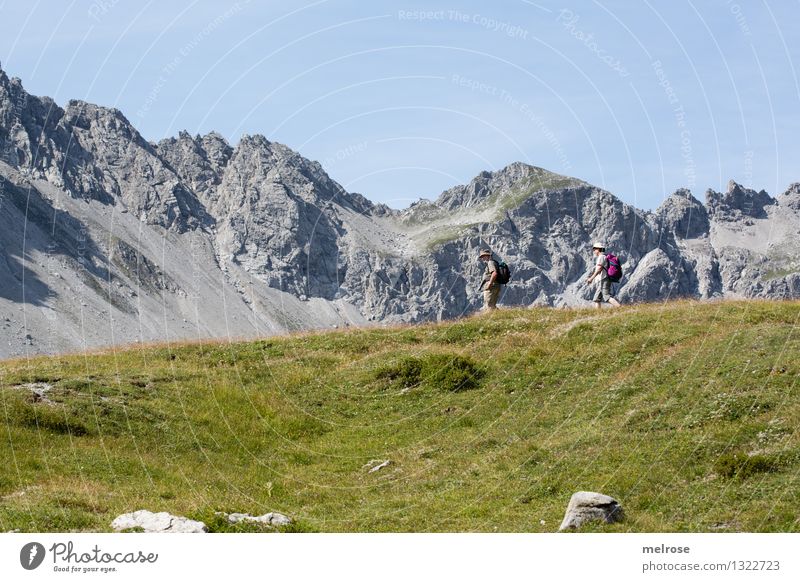 Im Sauseschritt Tourismus Berge u. Gebirge wandern Mensch Partner 2 60 und älter Senior Natur Landschaft Erde Sommer Gras Bergwiese Alpen Lünerseegebiet Brand