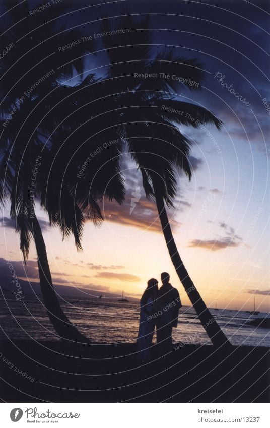 Hochzeit unter Palmen2 Ferien & Urlaub & Reisen Hawaii Sonnenuntergang Meer Strand Himmel Silhouette Gegenlicht Abenddämmerung Palmenstrand Pazifik