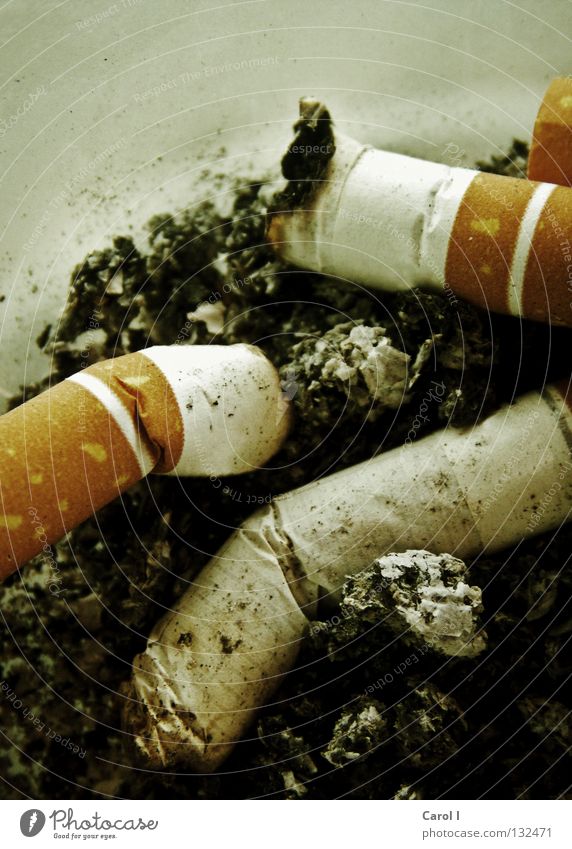 Vorsatz nicht durchgehalten... Zigarette Abhängigkeit Aschenbecher Glut schwarz Mitläufer grauenvoll verraucht genießen Rauch Tabak Missbrauch Ausgang fertig
