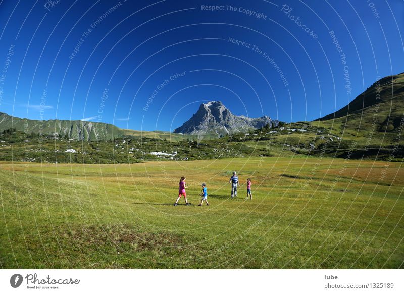 Widderstein 4 Mensch Umwelt Natur Landschaft Wolkenloser Himmel Sommer Klima Schönes Wetter Gras Felsen Alpen Berge u. Gebirge Gipfel blau grün bregenzerwald