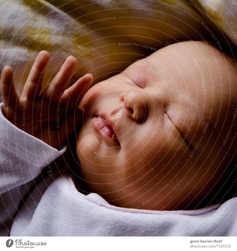 Baby Nahaufnahme Mensch feminin Kleinkind Schwester Leben Kopf Hand Finger 1 0-12 Monate liegen schlafen authentisch schön klein Zufriedenheit Lebensfreude