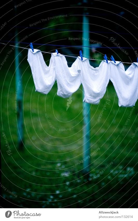 Nachbars Schlüpper -aprilfrisch- Unterhose weiß Unterwäsche Waschtag Reinigen trocknen aufhängen Wäscheleine rein Haushalt Frieden Bekleidung weißwäsche Seil