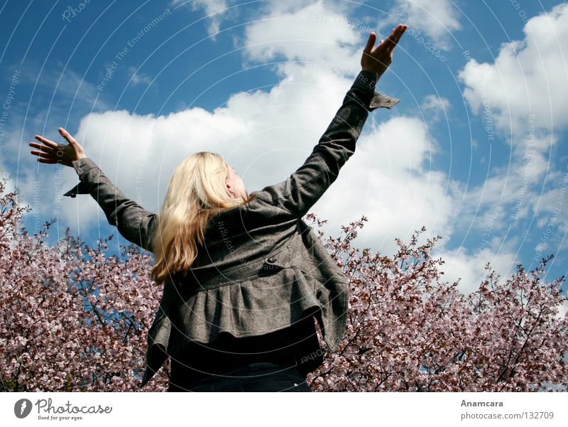 Flying Wolken Kirsche Kirschblüten Baum Frühling rosa Blüte Frau Unbeschwertheit Hoffnung Erwartung mehrfarbig blond Applaus Götter Sommer Zufriedenheit weiß