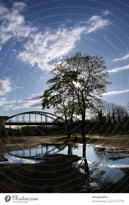 Sommertag Baum Reflexion & Spiegelung Pfütze Güterbahnhof Wolken Physik Brücke Himmel blau Wasser Freiburg im Breisgau Wärme Schatten