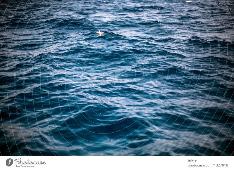Du suchst das Meer Umwelt Natur Urelemente Wasser Wellen Meeresspiegel Wasseroberfläche Bewegung bedrohlich dunkel groß wild blau Stimmung Kraft rein Tiefsee