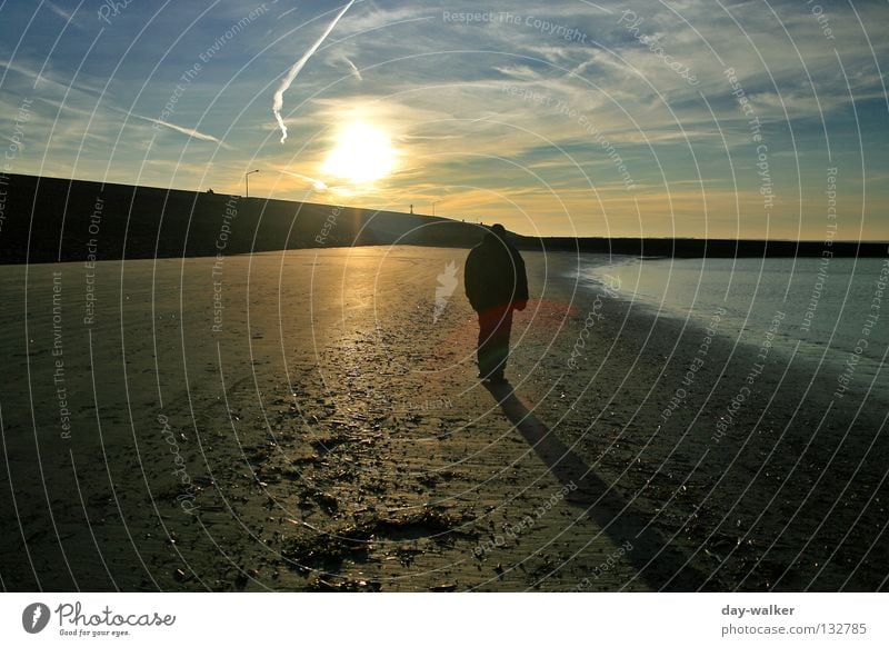 Zwischen zwei Welten Strand Meer Licht Wolken Spaziergang wandern Wellen Brandung Ebbe Promenade Küste Himmel Wasser Amerika Sand Stranddüne Schatten reflektion