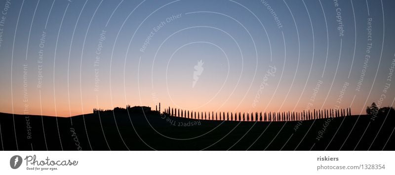 Silhouette Umwelt Sonnenaufgang Sonnenuntergang Sommer Toskana Einsamkeit Idylle Zypresse Allee Italien Farbfoto Außenaufnahme Muster Menschenleer Morgen