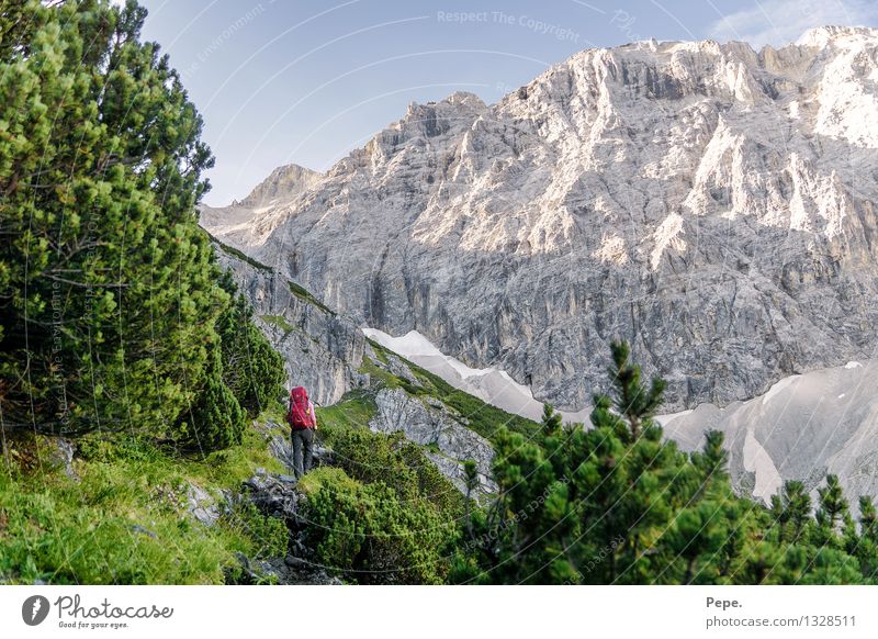 2x Wanderlust wandern Umwelt Natur Landschaft Felsen Alpen Berge u. Gebirge Gipfel Sport rot Baum grün Wege & Pfade Farbfoto Tag Panorama (Aussicht)