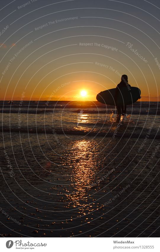 Surfing until sunset Sommerurlaub Sport Surfen Surfbrett Surfer Mensch feminin Junge Frau Jugendliche 1 Himmel Sonne Sonnenaufgang Sonnenuntergang Sonnenlicht