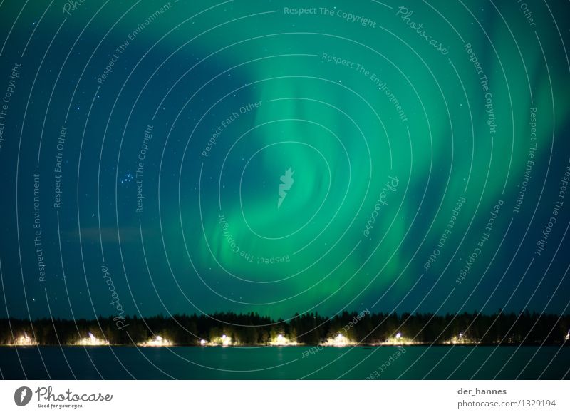 aurora.109 Natur Landschaft Himmel Wolkenloser Himmel Nachthimmel Stern Horizont Wald Seeufer Bewegung ästhetisch außergewöhnlich dunkel elegant fantastisch