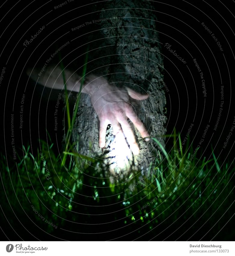 Hand alleine im Wald Baum Licht Gras Wiese Leben Baumrinde Nacht Langzeitbelichtung Lampe Finger durchsichtig Freundschaft dunkel schwarz grün gruselig