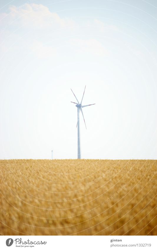 Windrad Landwirtschaft Forstwirtschaft Energiewirtschaft Technik & Technologie Erneuerbare Energie Windkraftanlage Wolken Feld heiß hell trocken Wärme Industrie