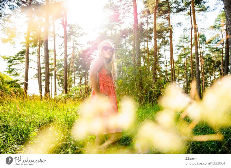 Da ist doch was im Busch. Mensch Junge Frau Jugendliche 1 18-30 Jahre Erwachsene Natur Sommer Schönes Wetter Wald Mode Kleid Sonnenbrille blond langhaarig