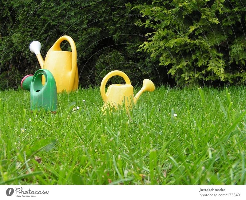 There´s a jungle out there Kannen Gießkanne grün gelb Wiese Gras gießen Gärtner Gartenarbeit Spielzeug Wachstum nass klein groß laufen Vertrauen Sommer Park