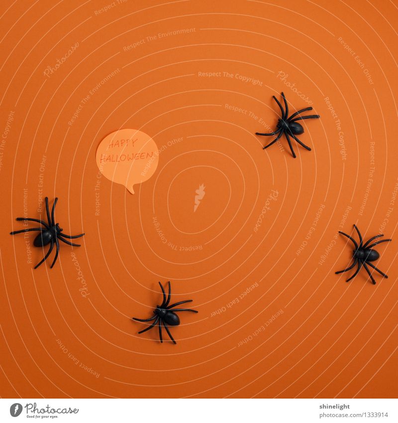 happy halloween Veranstaltung Feste & Feiern Halloween Fröhlichkeit orange schwarz Freude Angst Entsetzen Einladung Happy Halloween Gruß Postkarte Spinne Tier