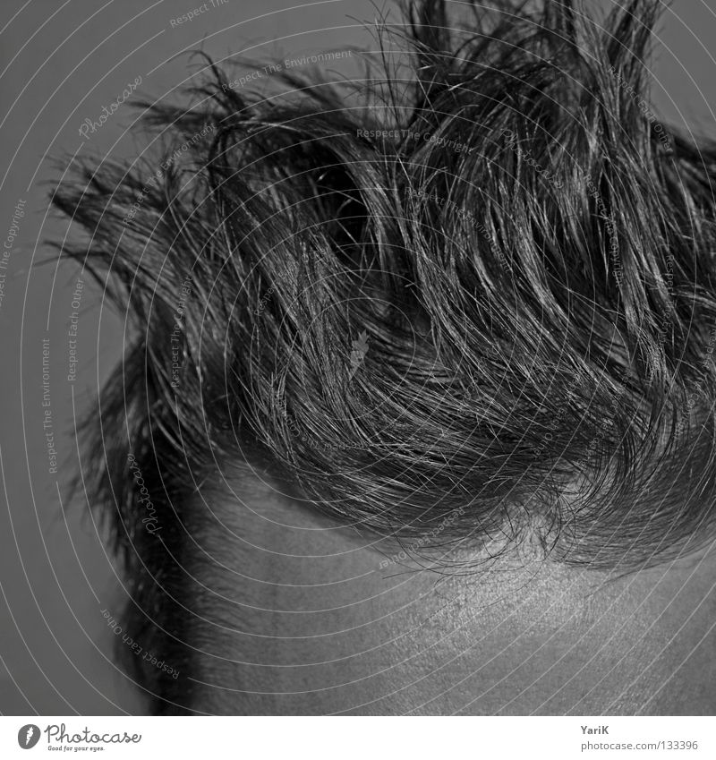 aufgestanden Stirn Haare & Frisuren geschnitten Haarschnitt Mann grau dünn durcheinander Igel Morgen aufstehen aufwachen Stil Haaransatz Haarwaschmittel